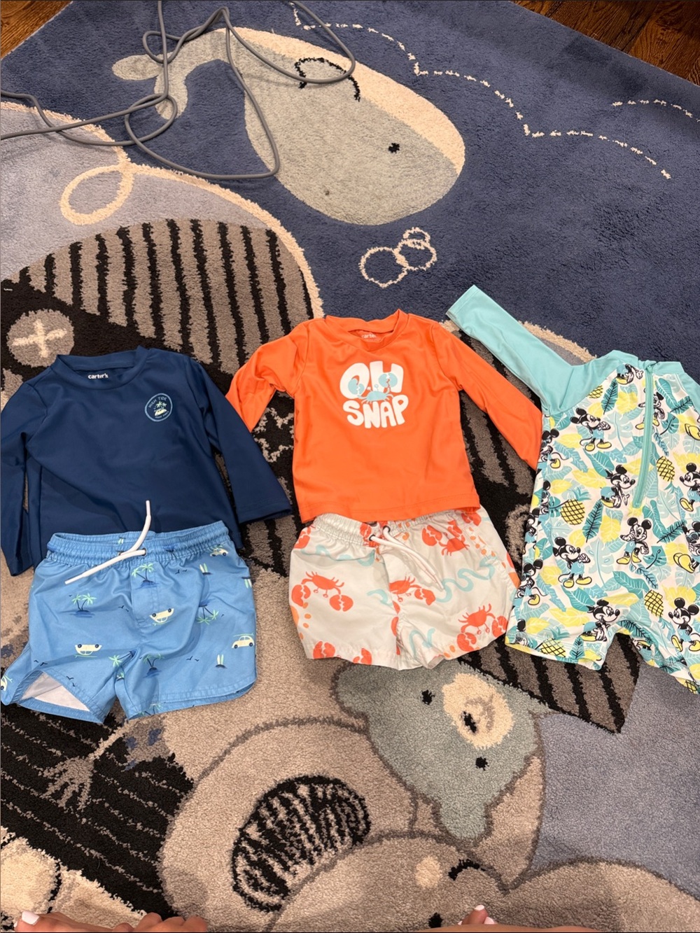 Boy bathing suit bundle size 18 months